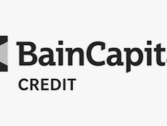 Bain Capital resells part of Icon portfolio
