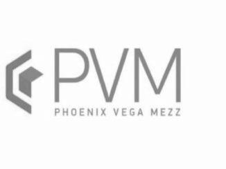 Phoenix Vega Mezz: Capital return of €16 million approved by shareholders