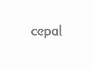 The highlights behind the election of new board at Cepal