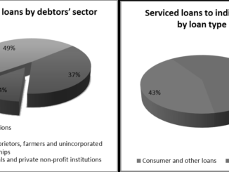 Statistics on loans serviced by Credit Servicing Firms (CSFs)