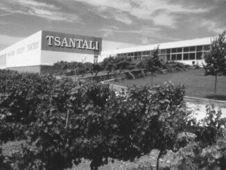 Tsantalis: When bankruptcy is expected