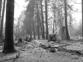 Servicers Suspend Collection Actions for Wildfire Victims
